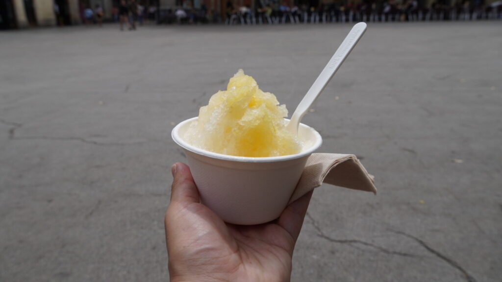 バルセロナのKakigoriで注文したかき氷