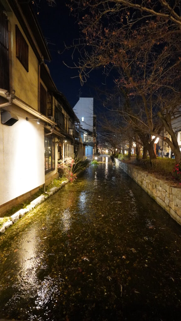 白川沿いの夜景。裸木と石垣、川面に映る灯り